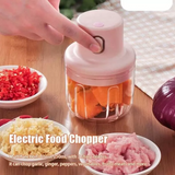 Intelligent Garlic Machine | Electric Garlic Chopper & Grinder |